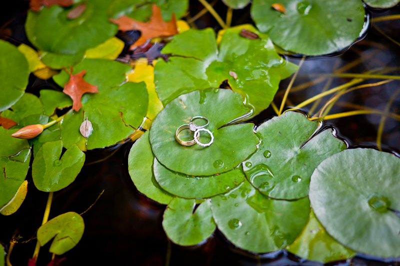 Creative wedding ring pictures