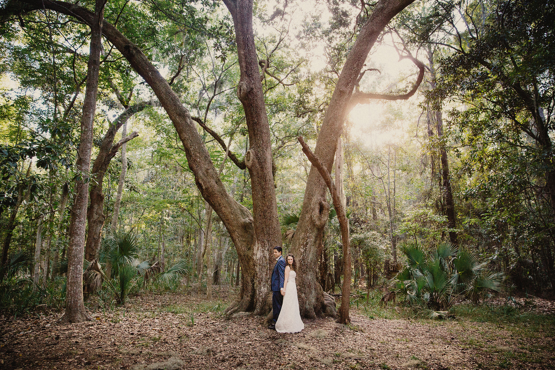 wedding photos savannah moss trees