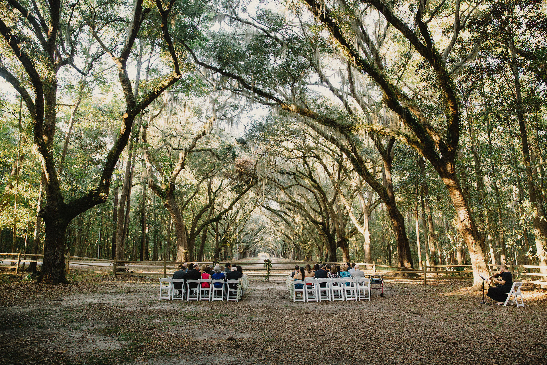 wormsloe wedding savannah