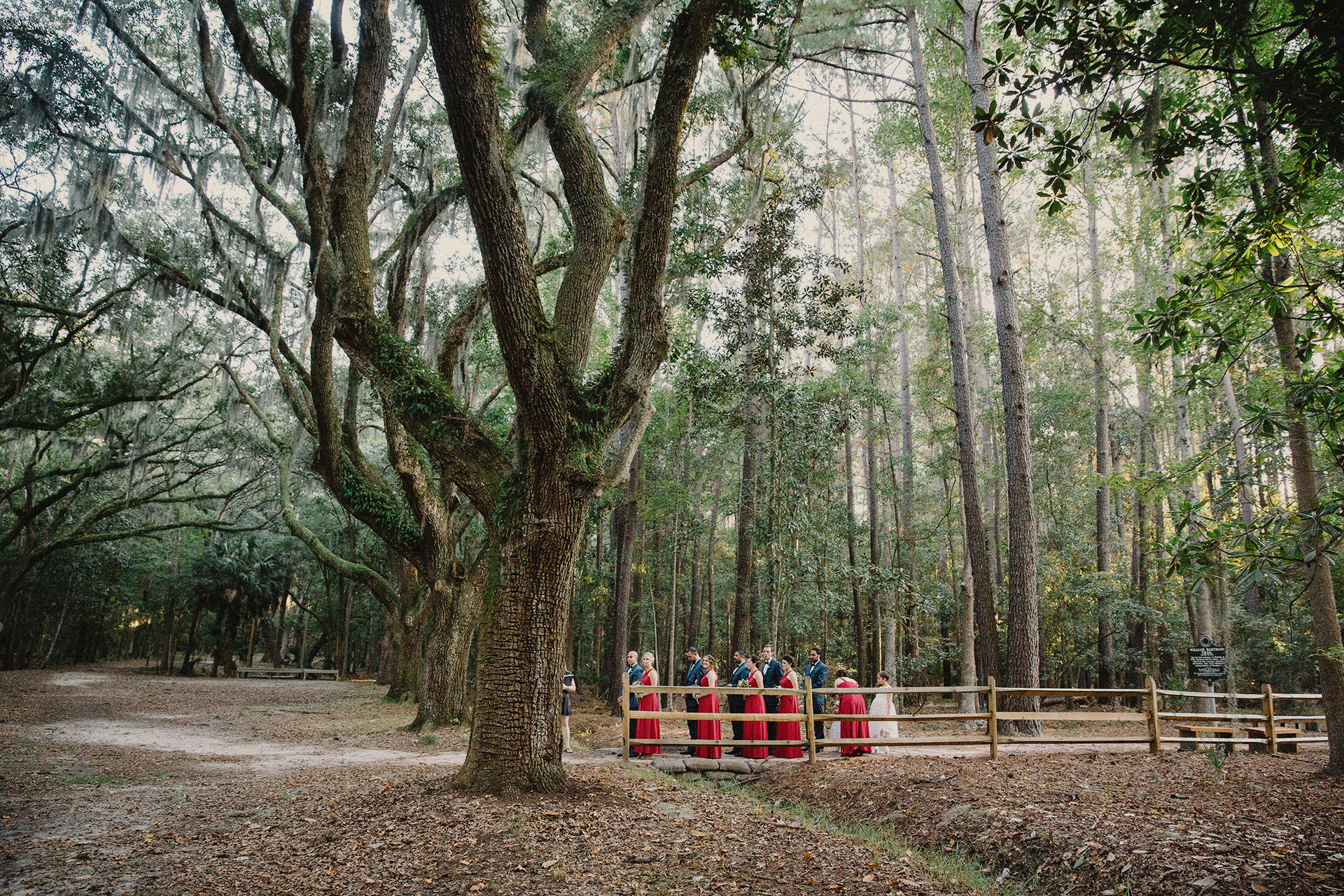 bridesmaides at wormsloe historic site
